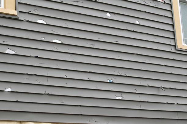 Professional Siding Installation & Repair in Mckee City, NJ