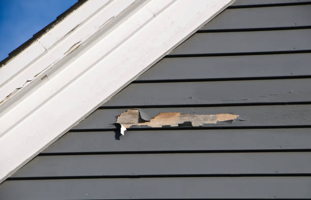 Best Steel Siding Installation  in Mckee City, NJ